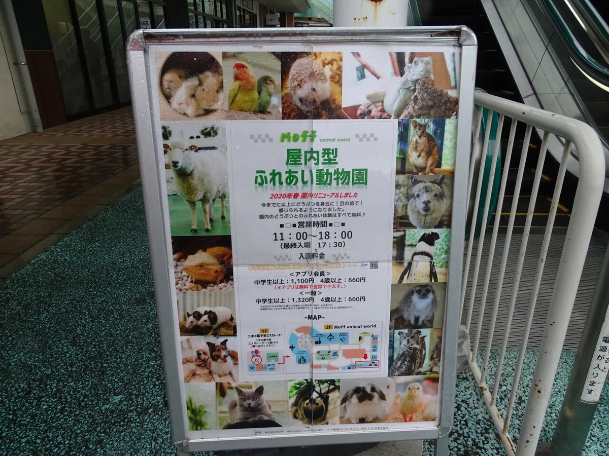 画像7