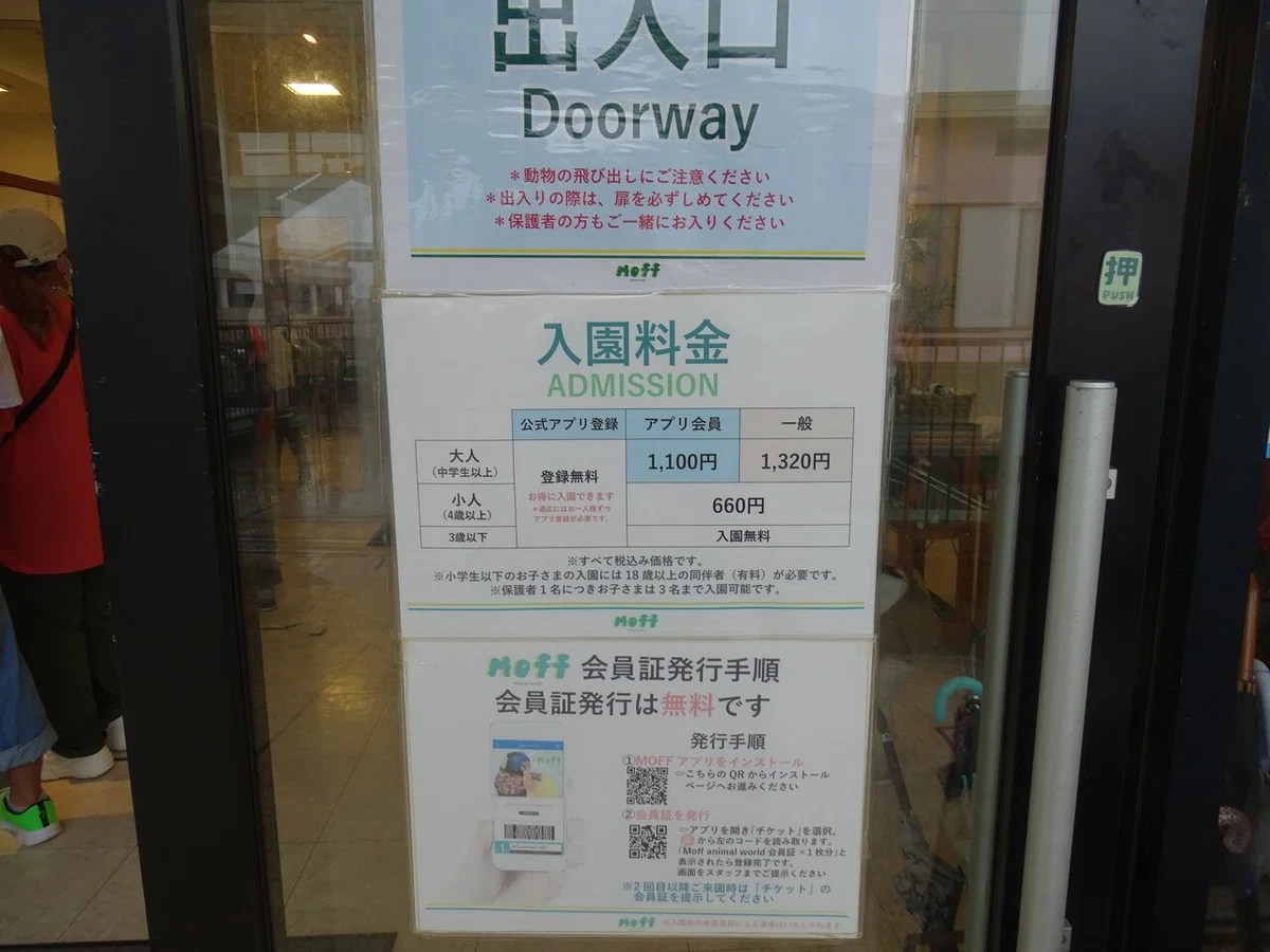 画像11