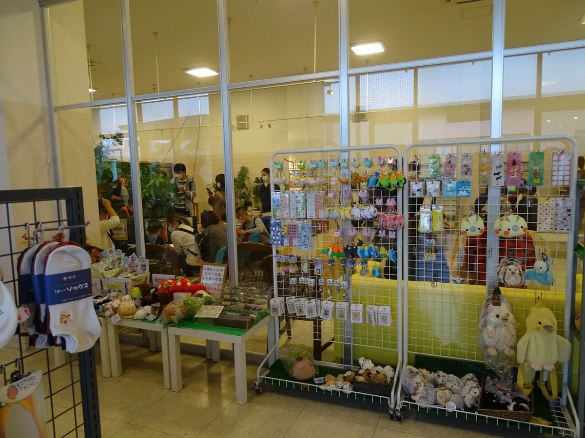 画像14