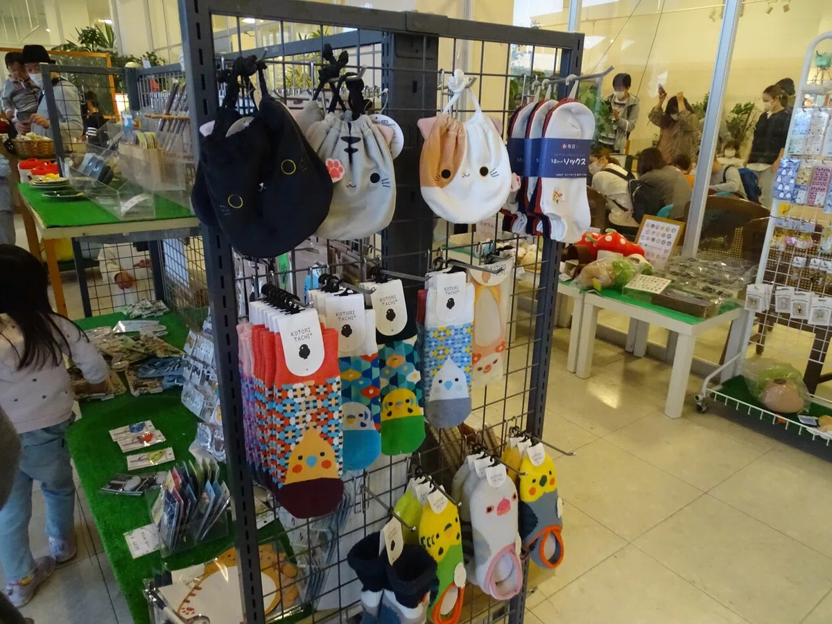 画像19