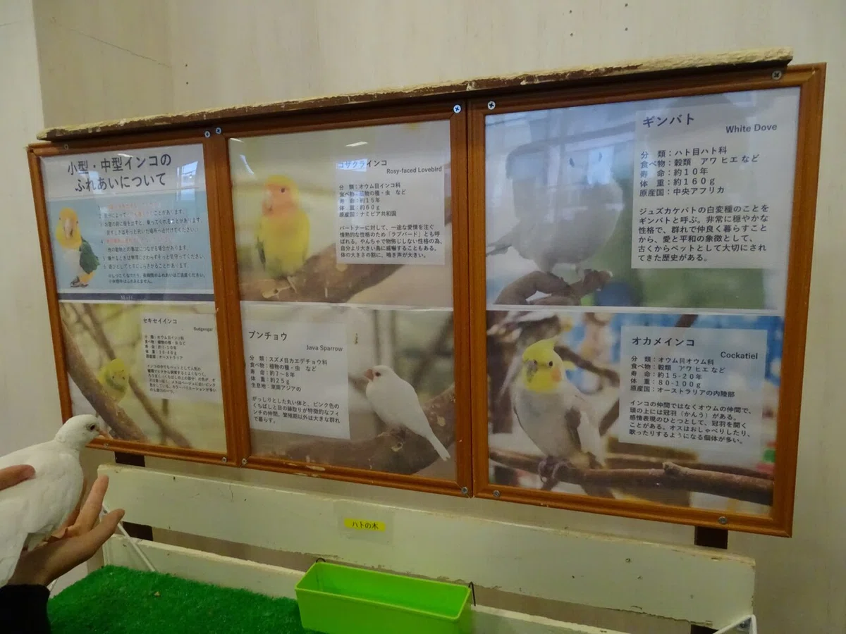 画像36