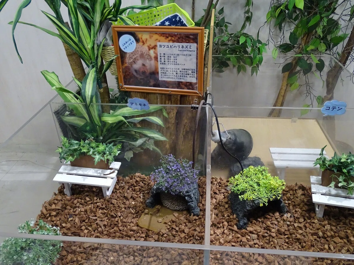 画像23