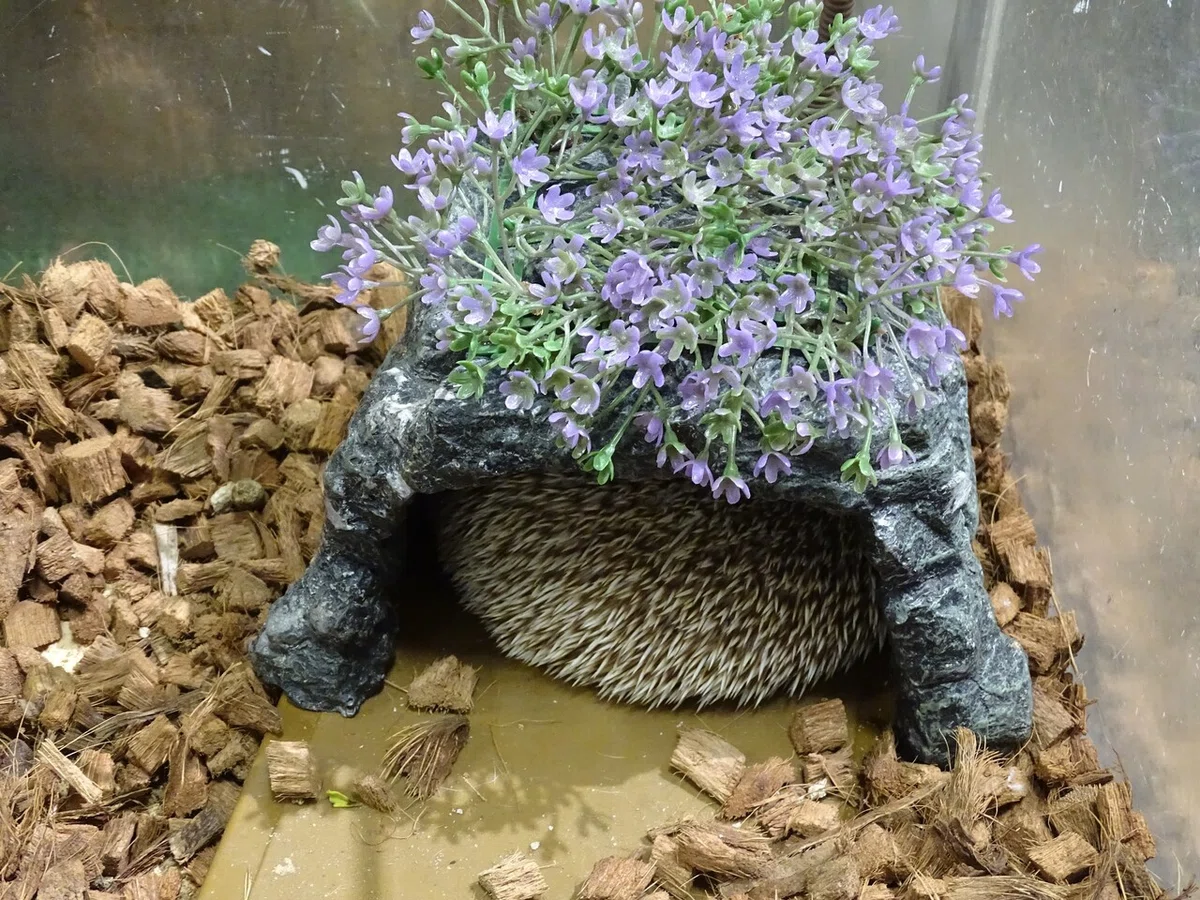 画像24