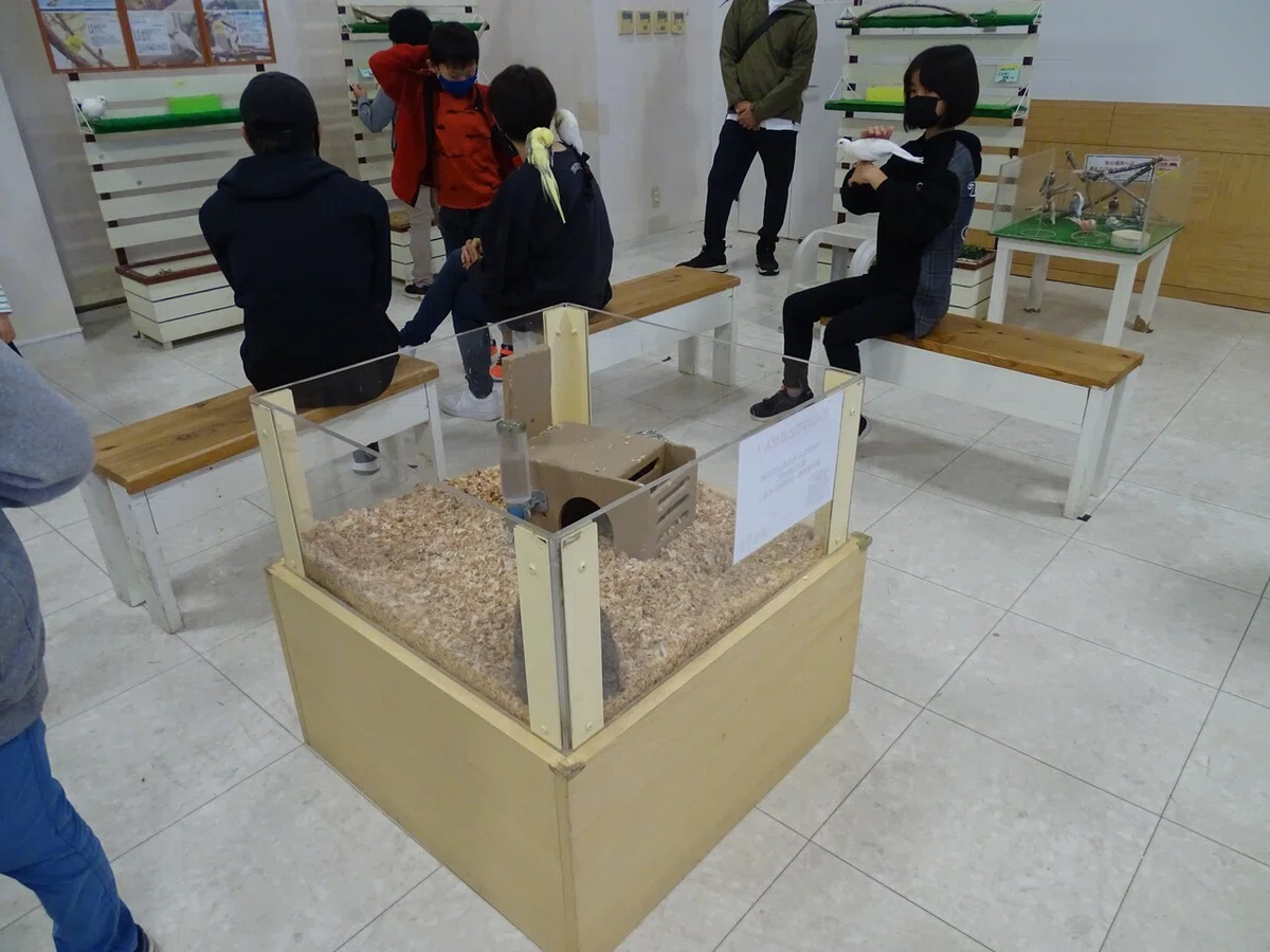 画像46