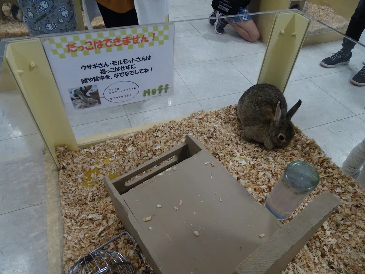 画像40