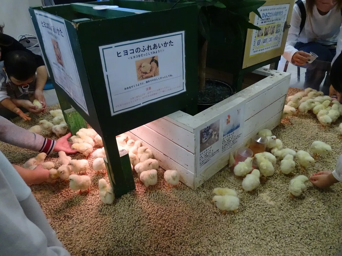 画像43
