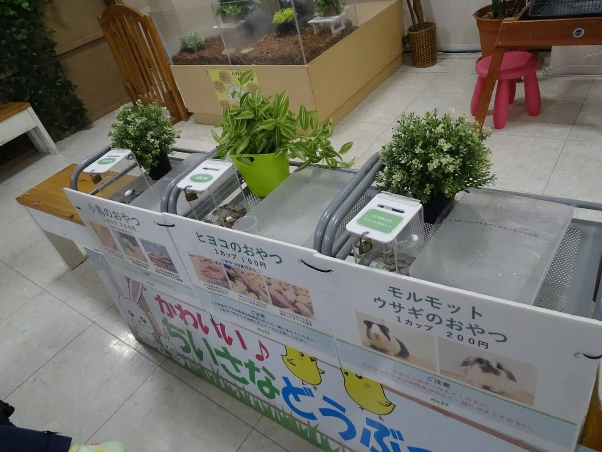 画像47
