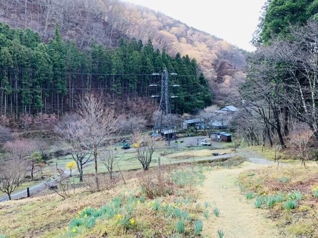 画像12