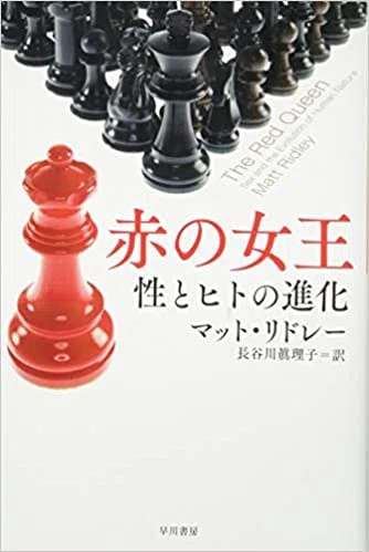 画像41