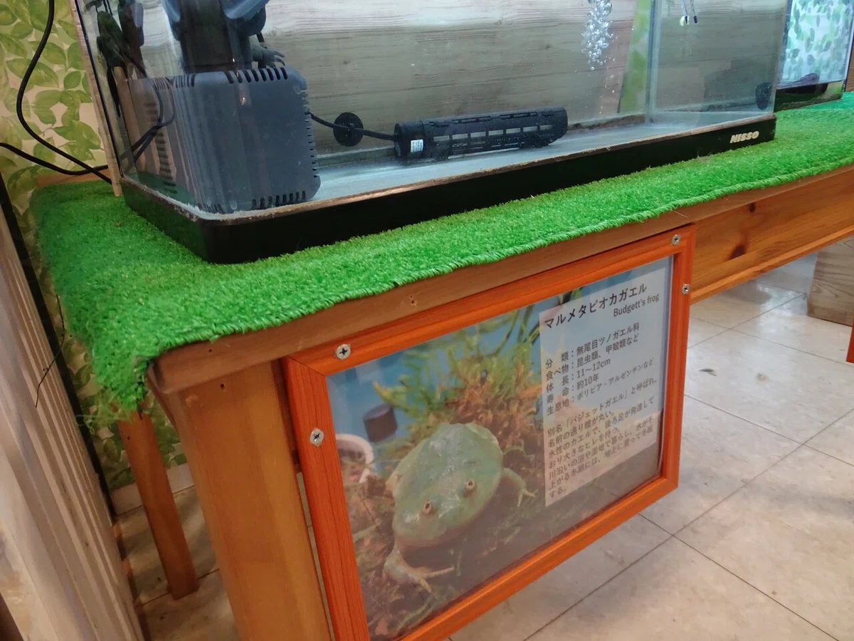 画像66