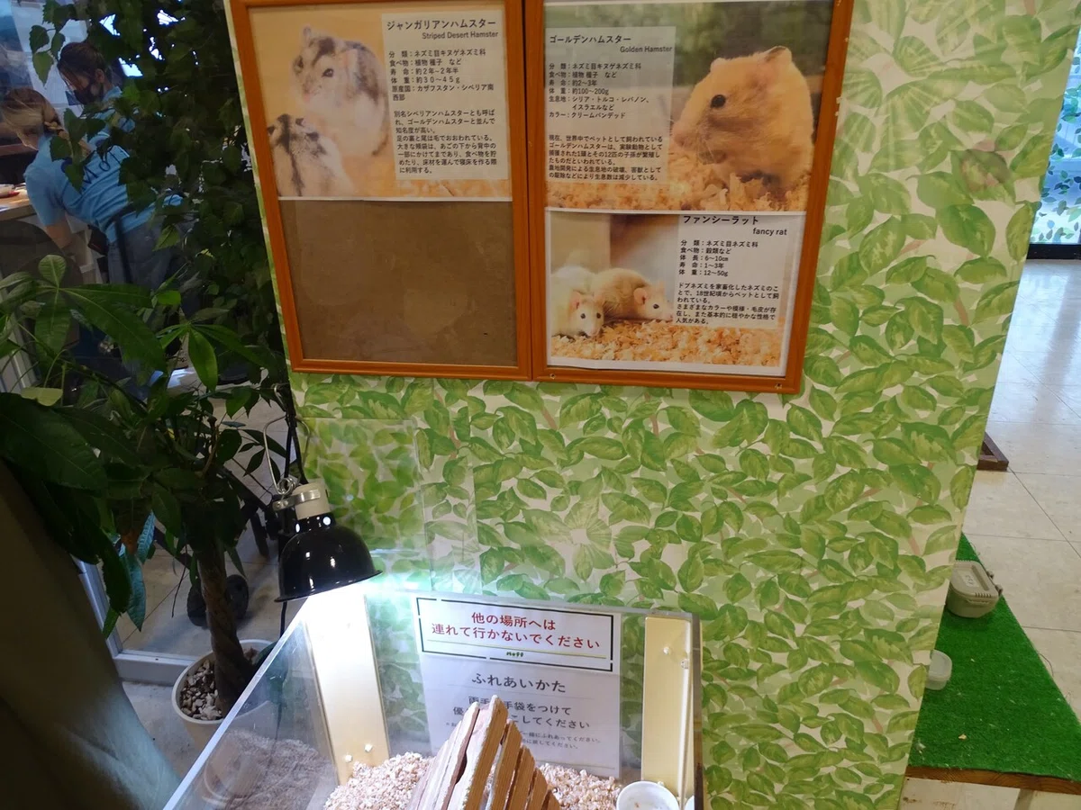 画像56