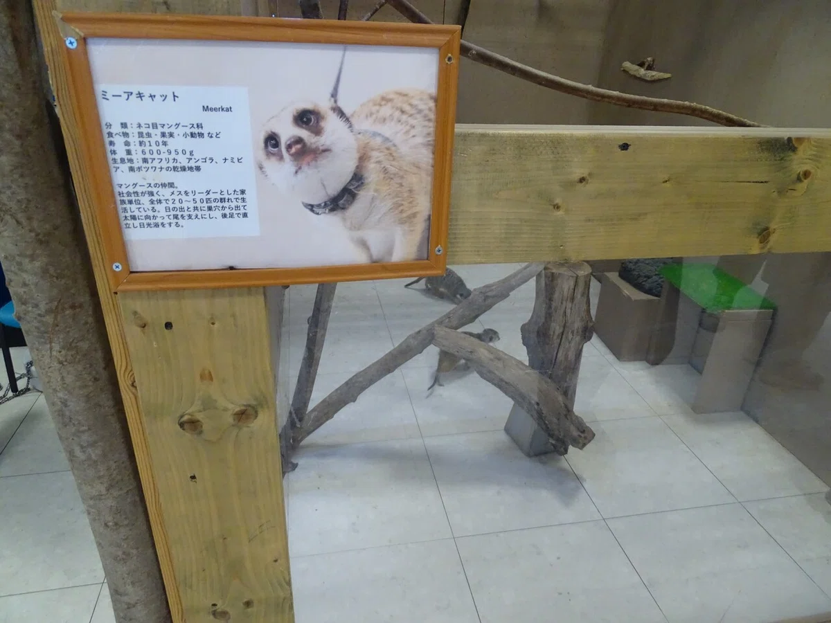 画像52