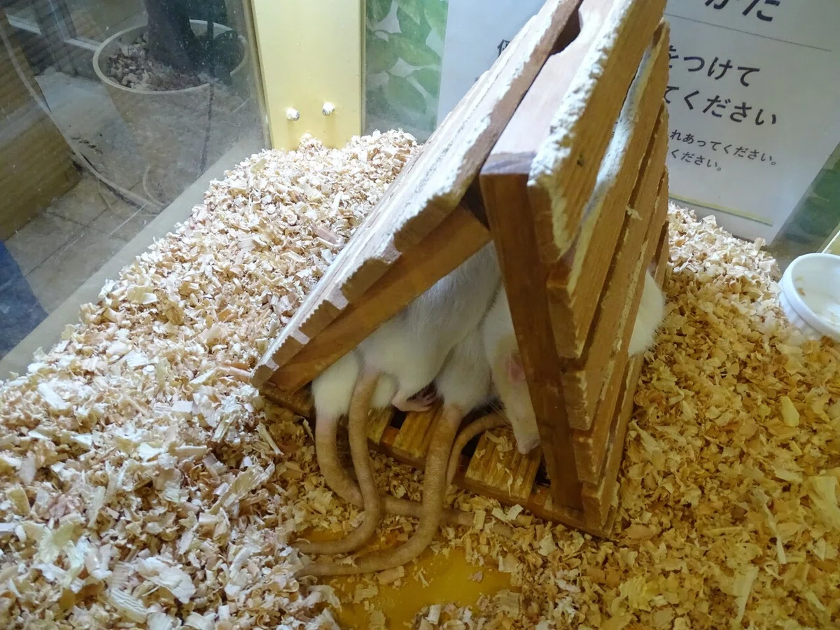 画像57