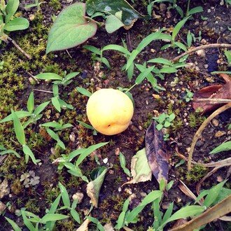 I found my voice finally