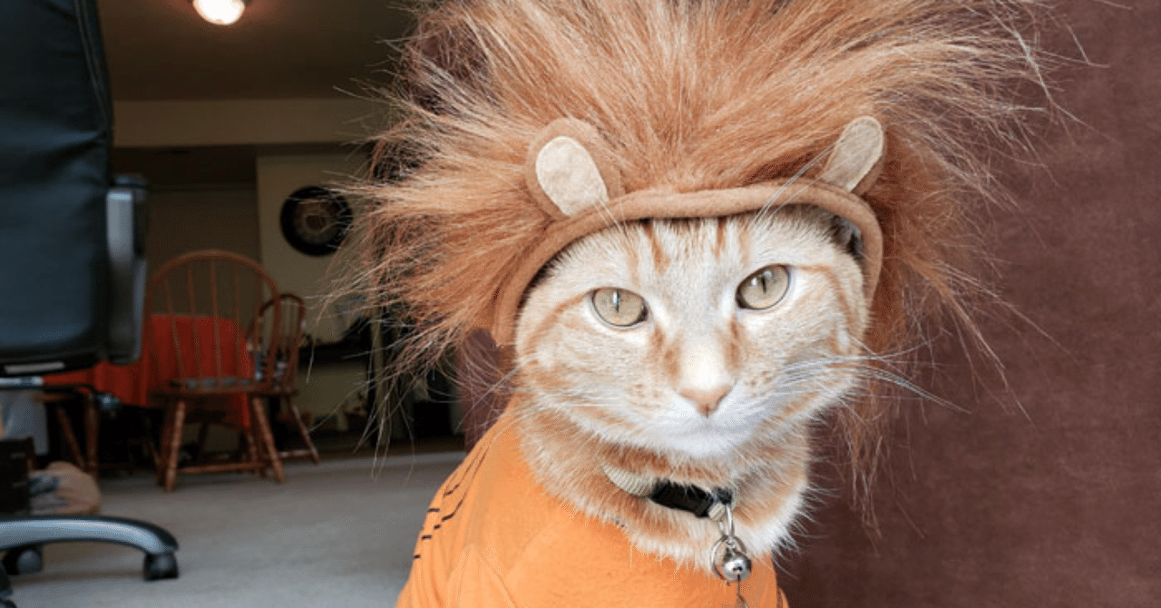 ペットたちのハロウィン その2 ノリノリ Note ペットたちのハロウィン その2 ノリノリ Note