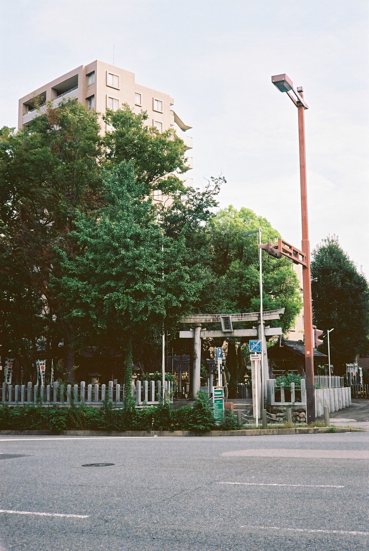 8月のフィルム② FUJICA COMPACT D|shun samejima 8月のフィルム② FUJICA COMPACT D|shun samejima