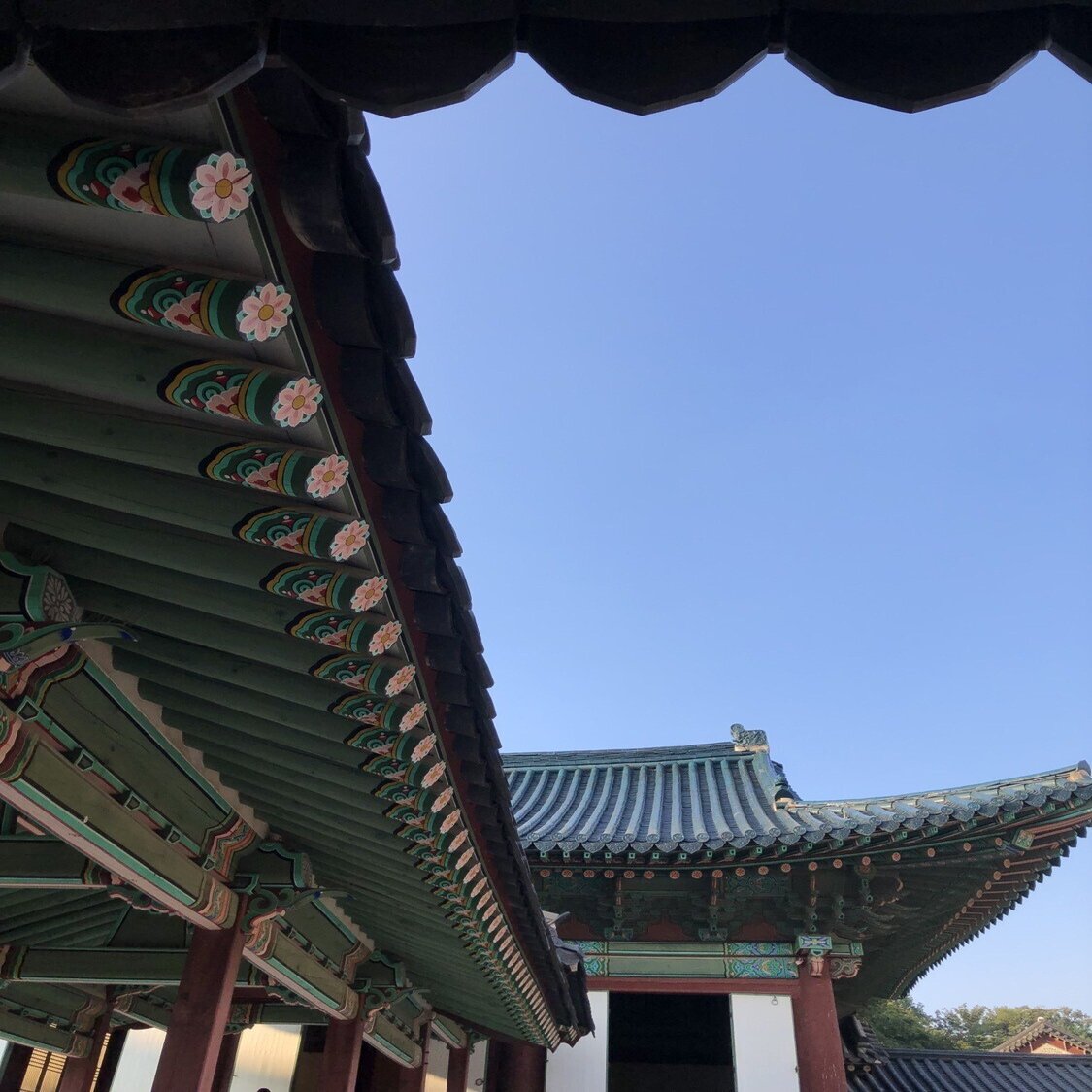 古宮 02 昌徳宮 李氏朝鮮と近代の歴史が交わる宮殿 るしあ昌 Note