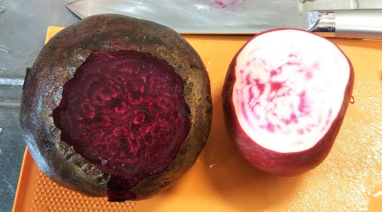 あきた暮らし 県北はビーツの宝庫 とんぷぅ Note あきた暮らし 県北はビーツの宝庫 とんぷぅ Note