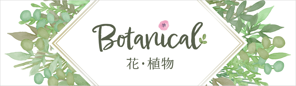 ボタニカル素材