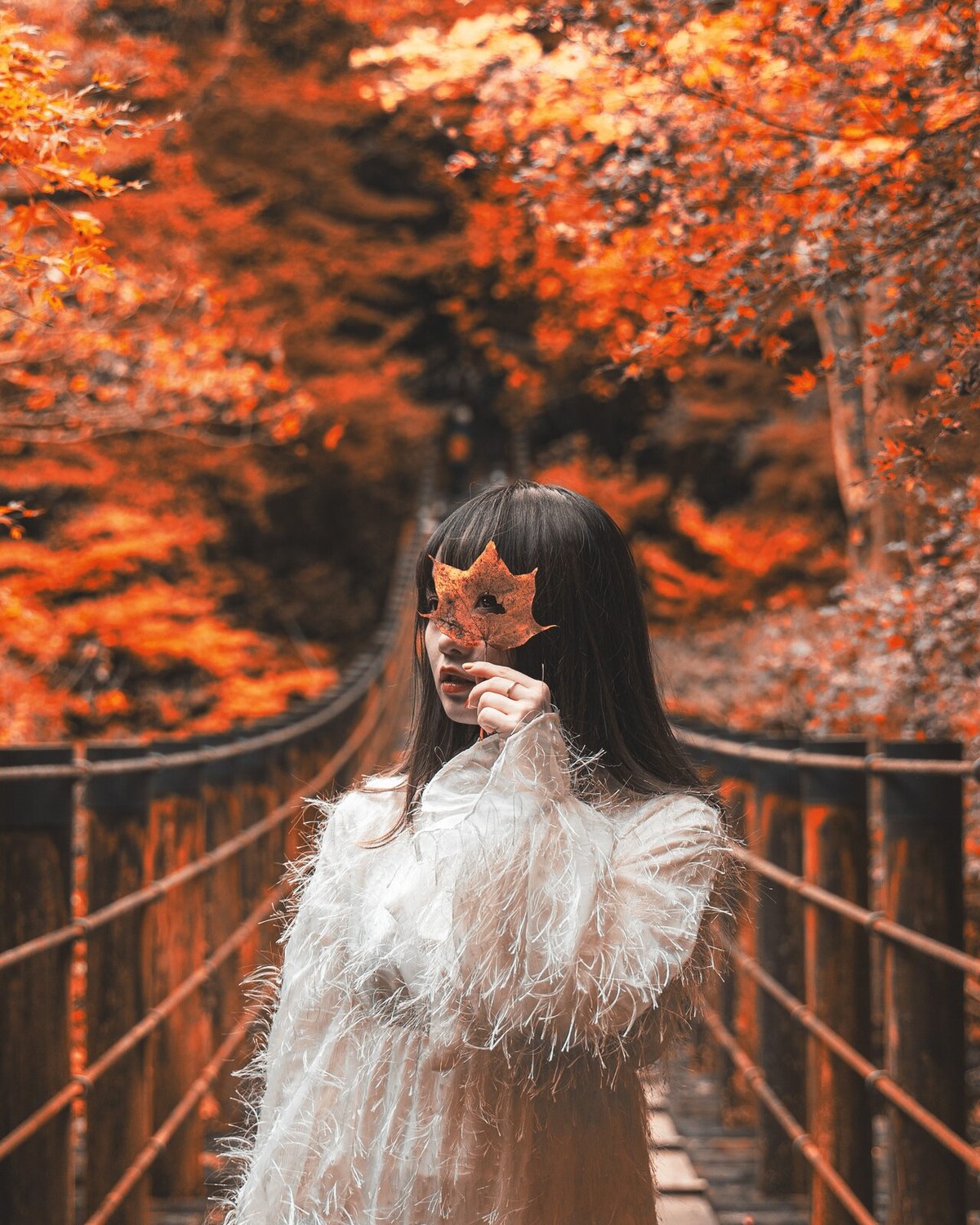 画像21