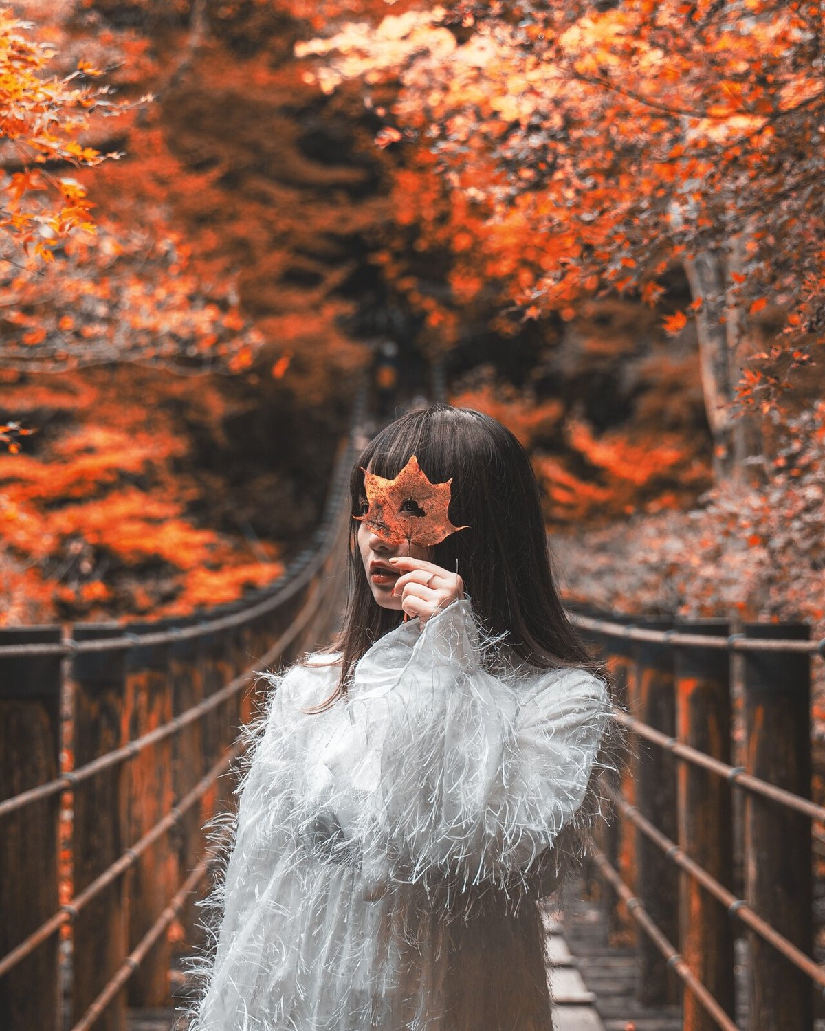 画像24