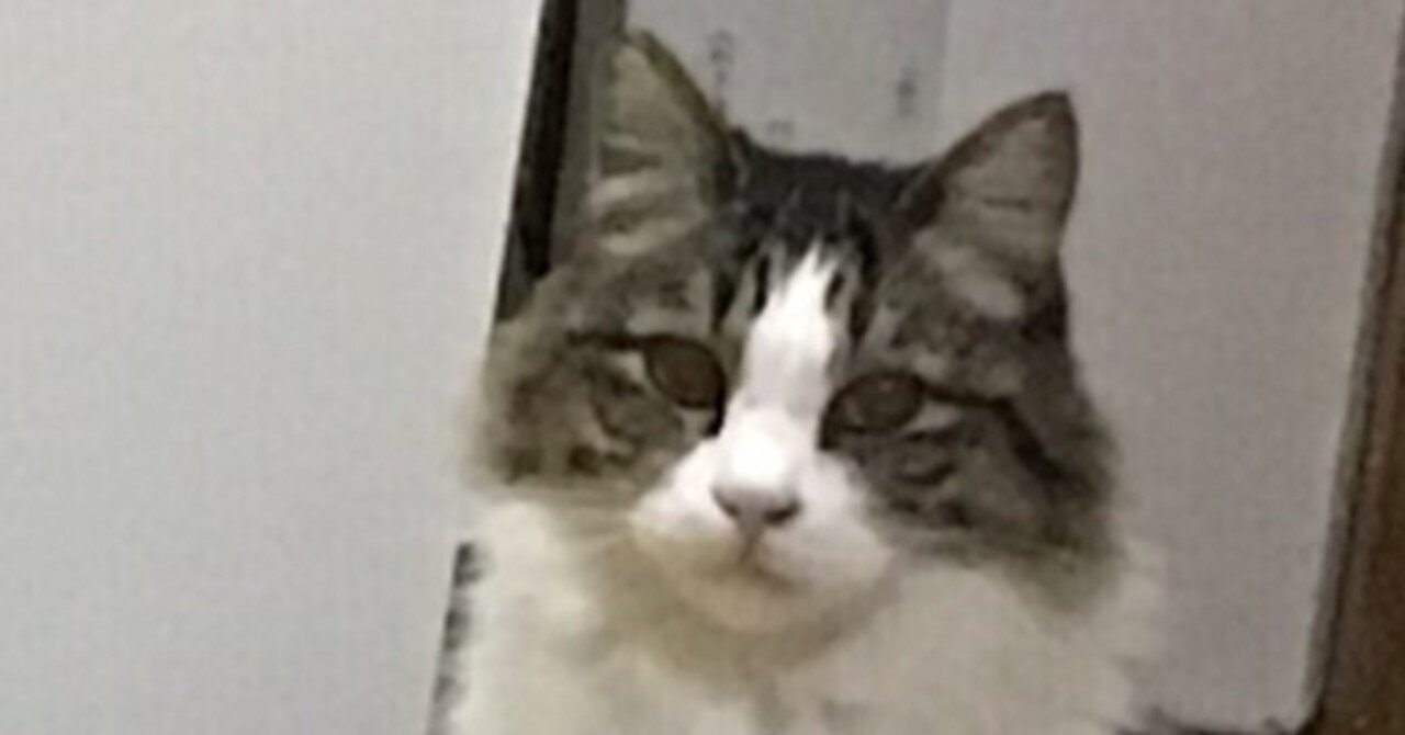 案山子」の新着タグ記事一覧｜note u2015u2015つくる、つながる、とどける。