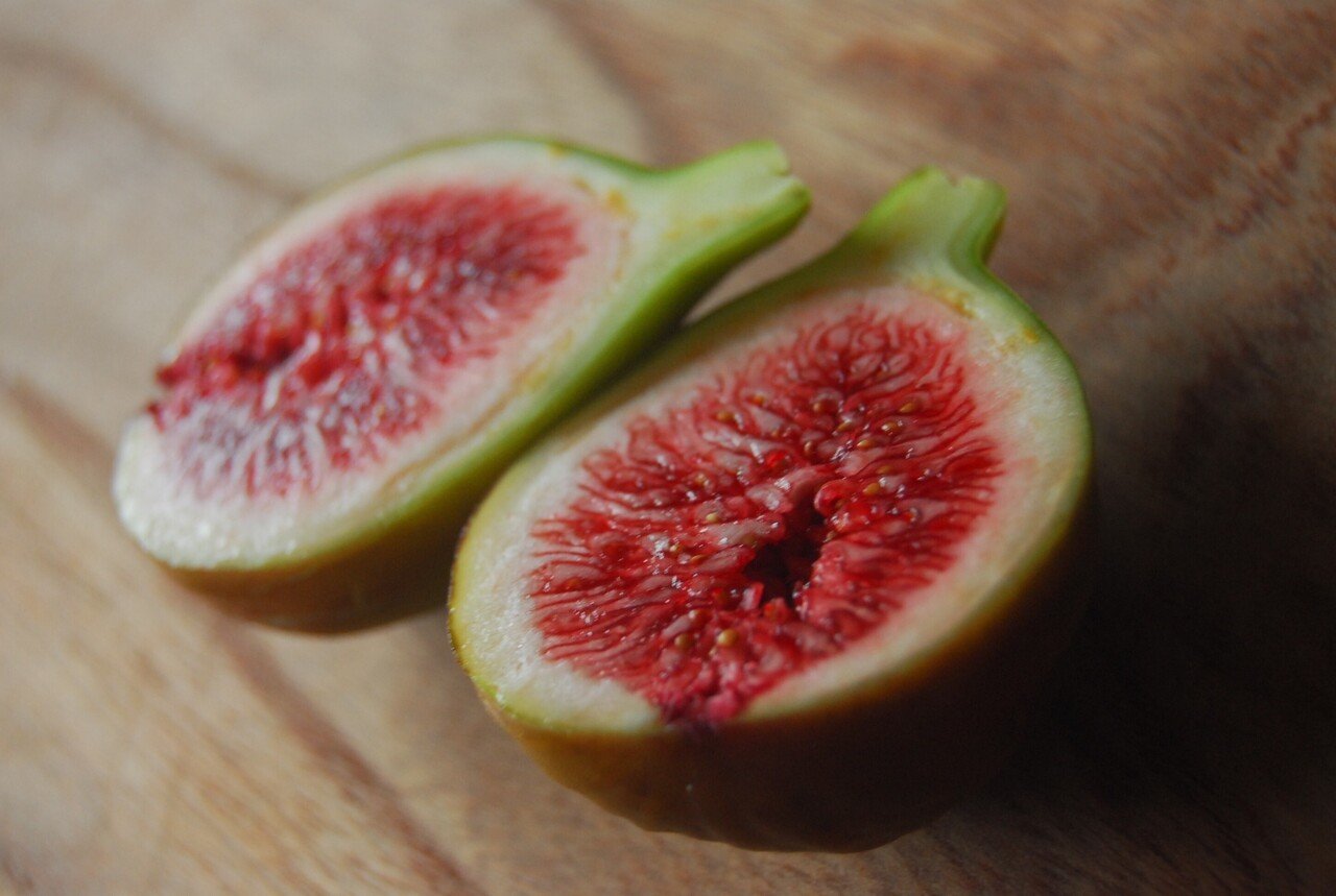 イチジク レディグレイ Col De Dame Gris の苗②