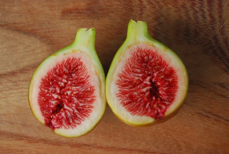 Fig Varieties Col De Dame Gris レディ グレイ 世界のいちじく育てよう まるはち果実園 Note