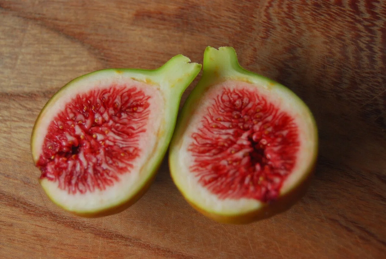 Fig Varieties Col De Dame Gris レディ グレイ 世界のいちじく育てよう まるはち果実園 Note