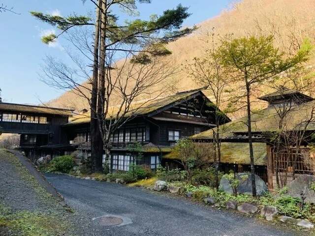 画像15