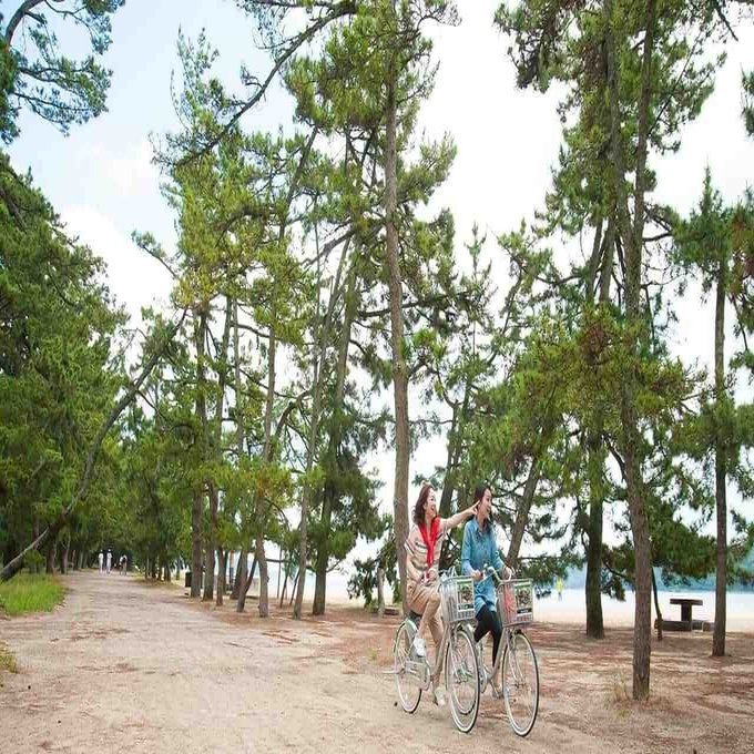 3.6キロ 自転車で