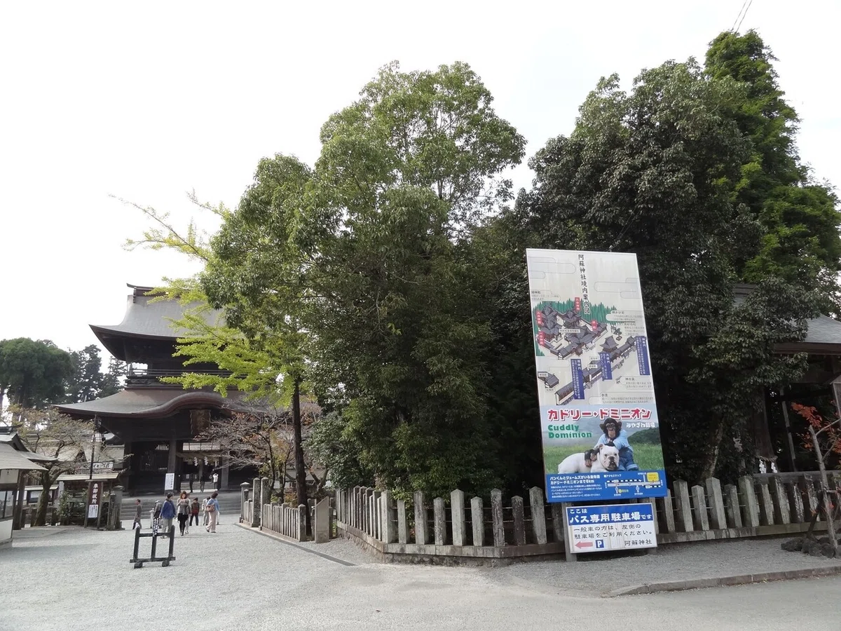 画像1