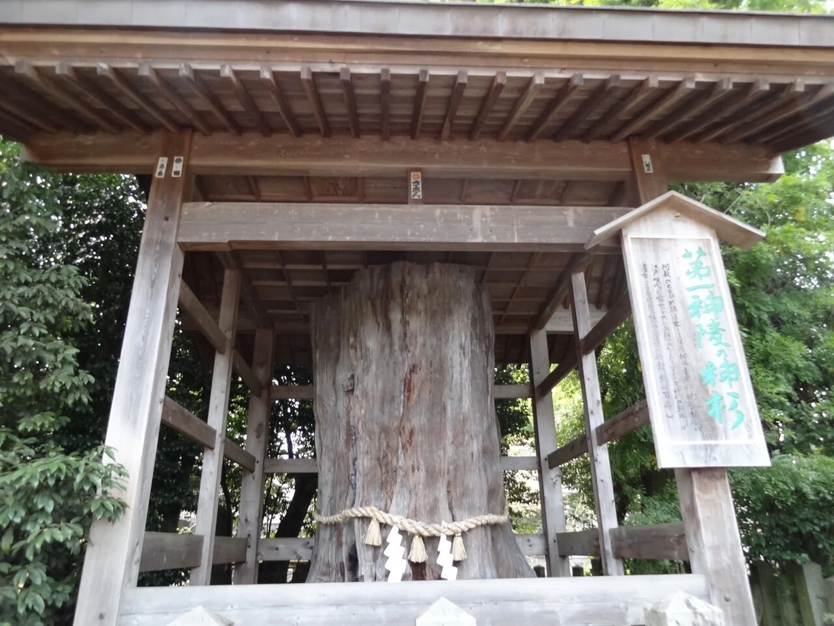 画像2