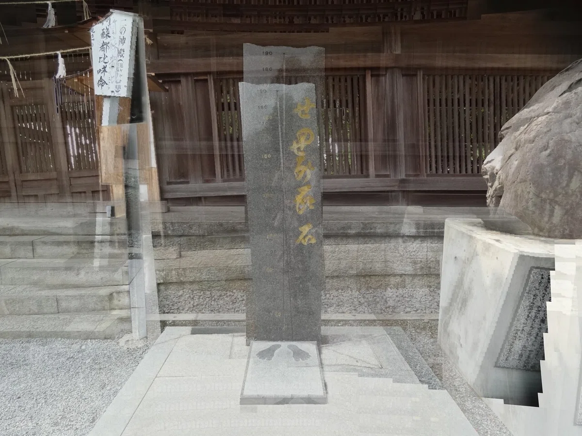 画像14