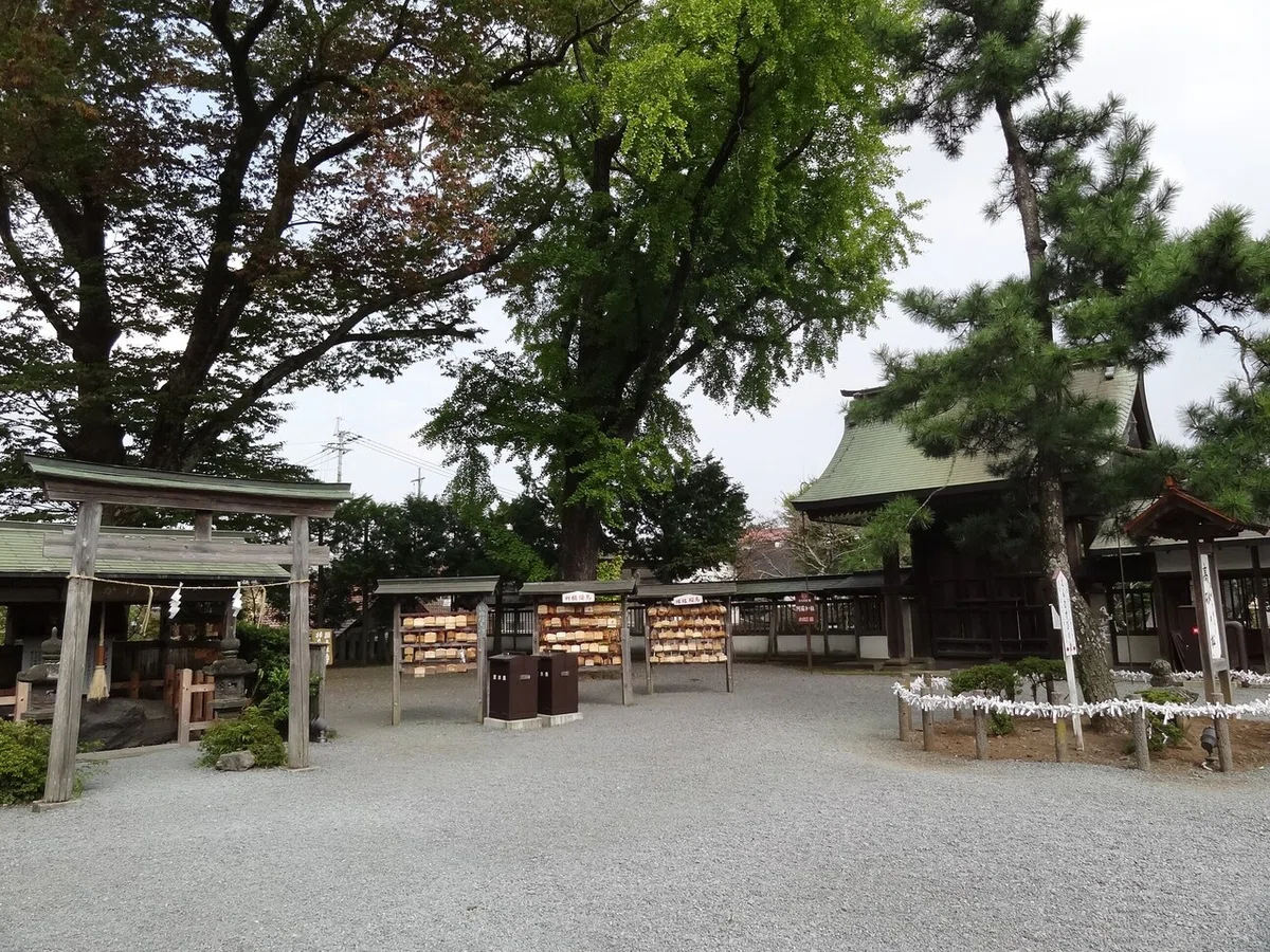 画像15