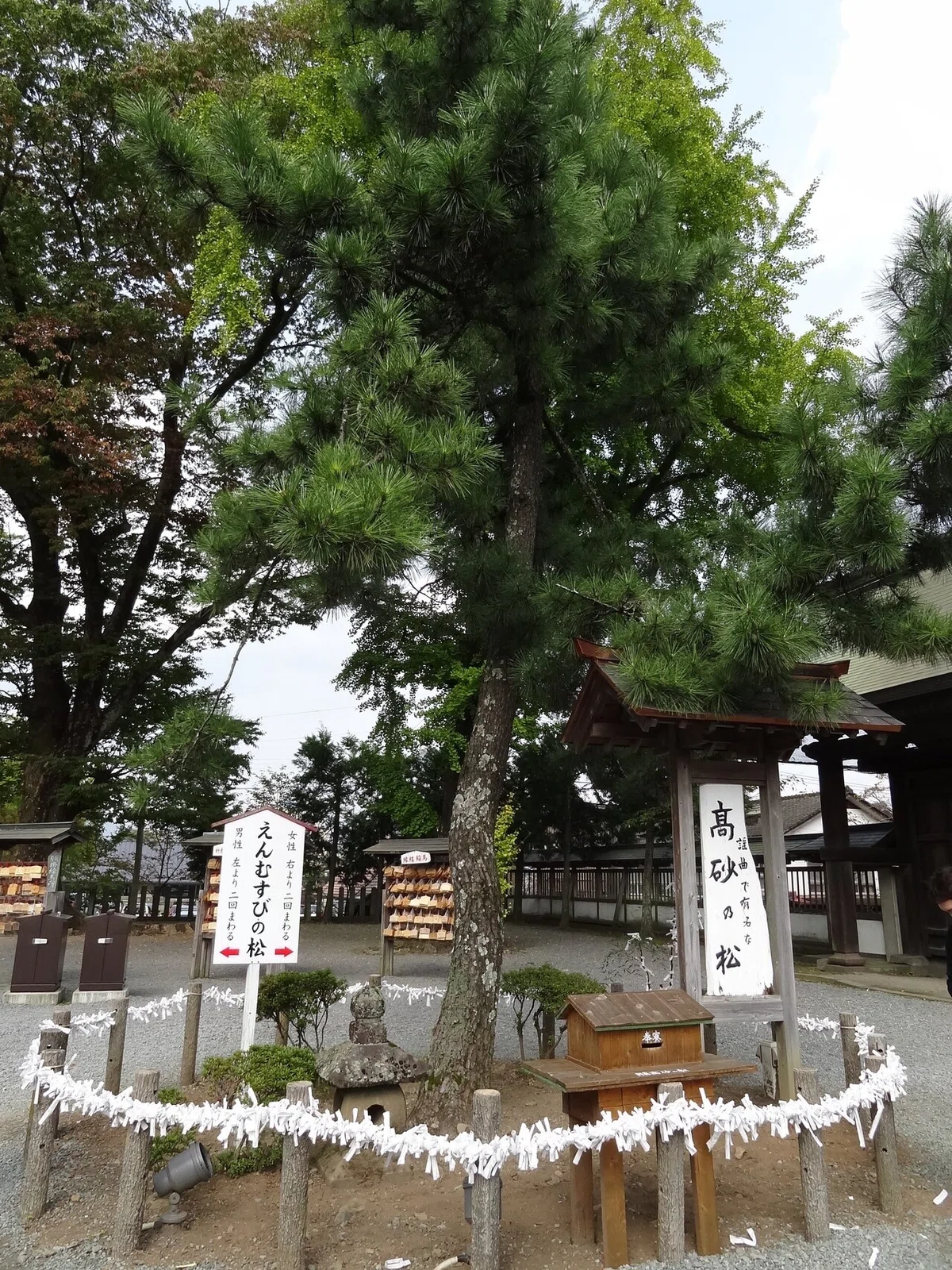 画像16