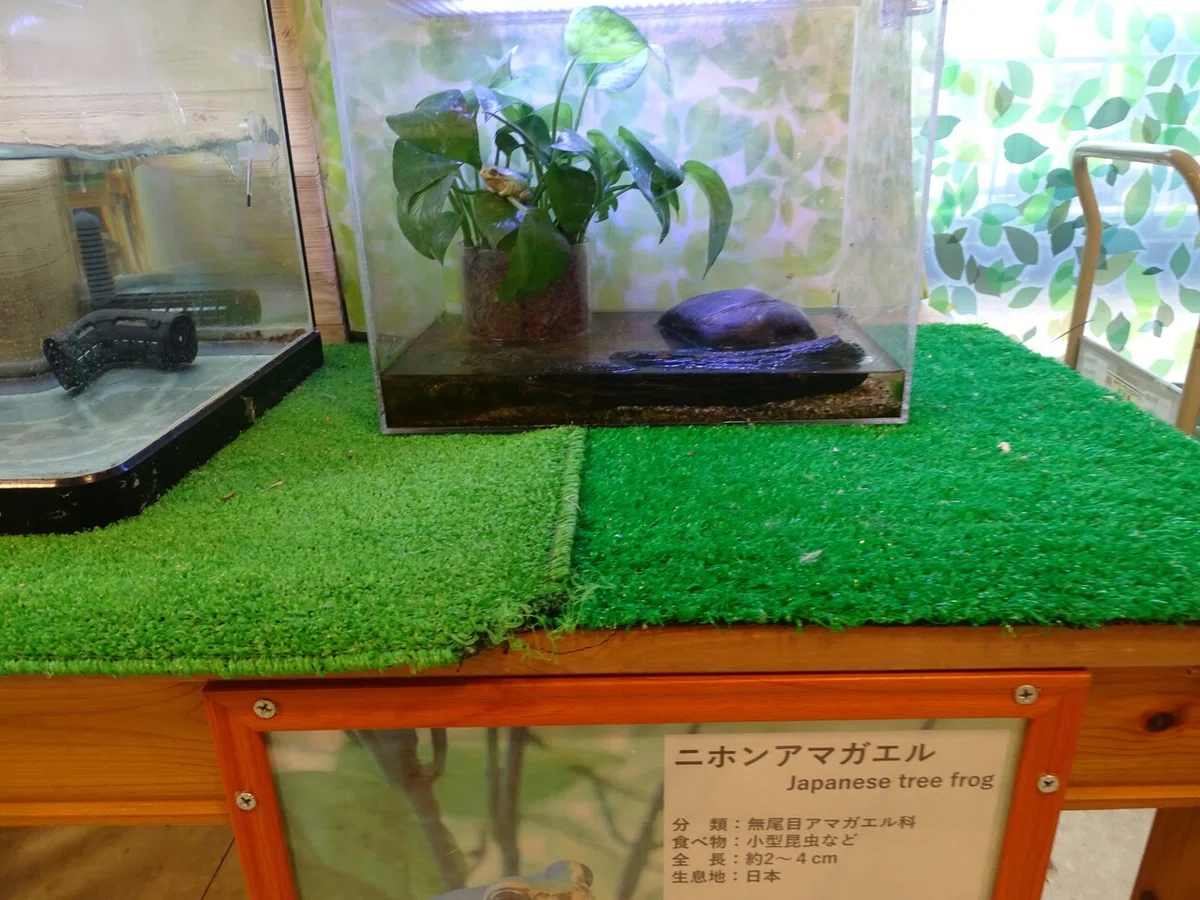 画像62