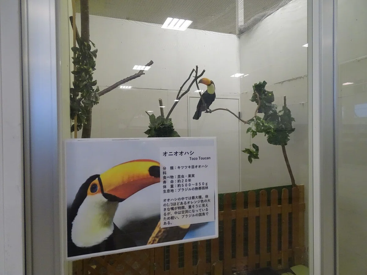 画像62