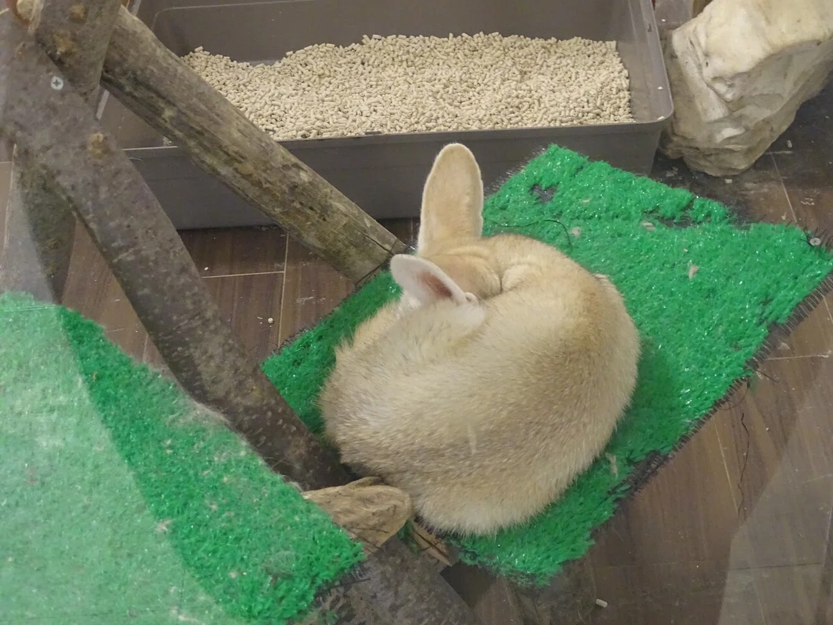 画像65