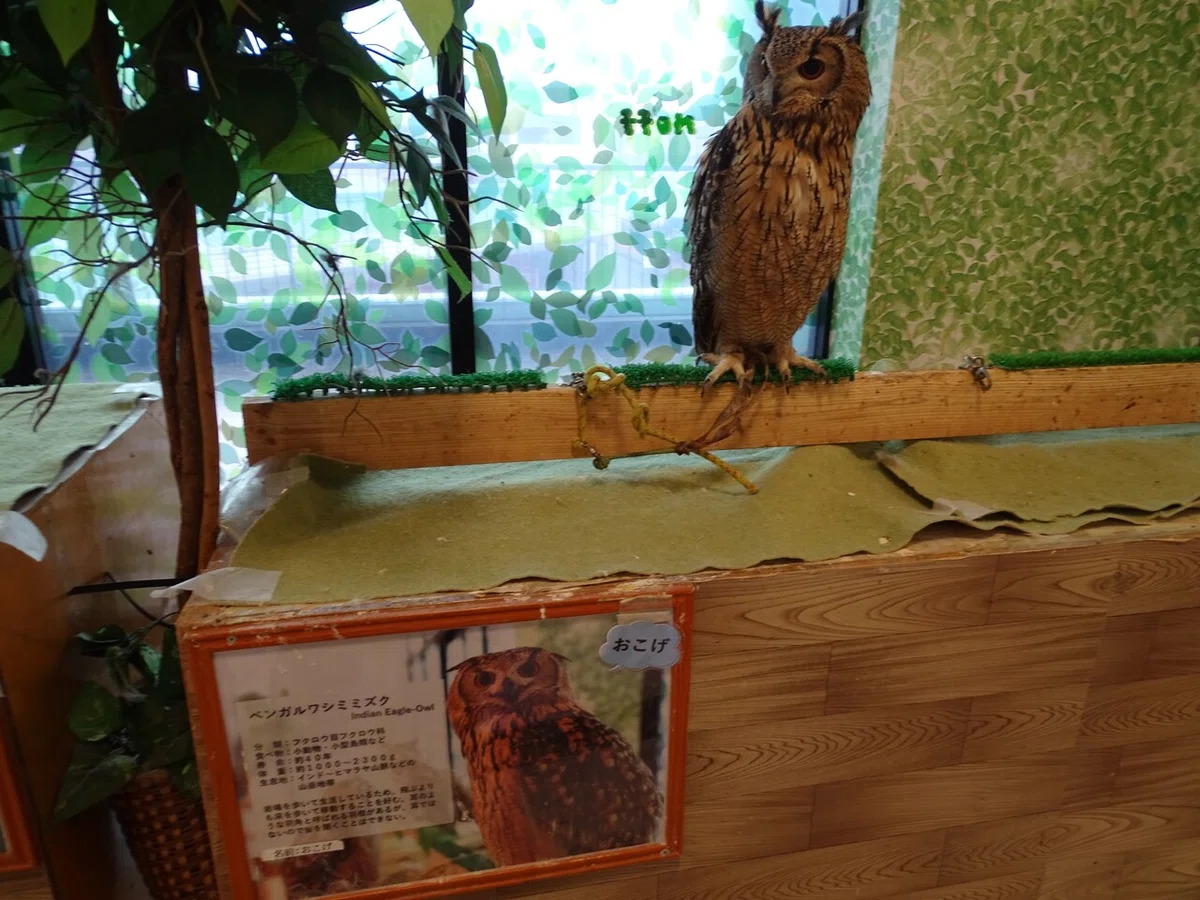 画像75