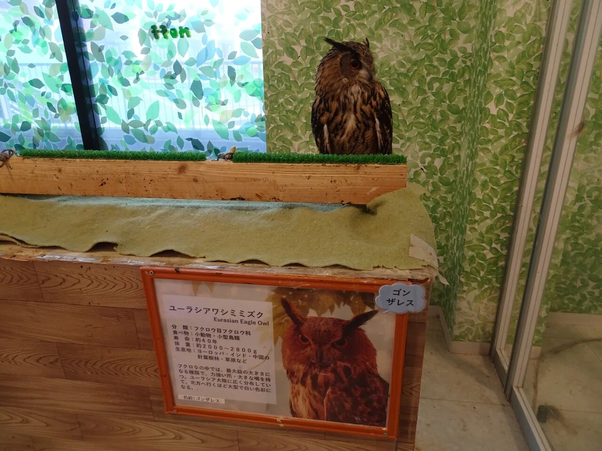 画像76