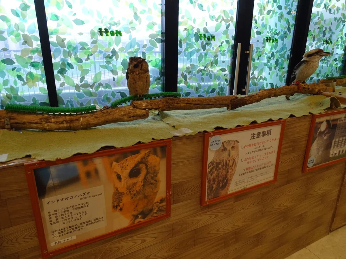 画像71