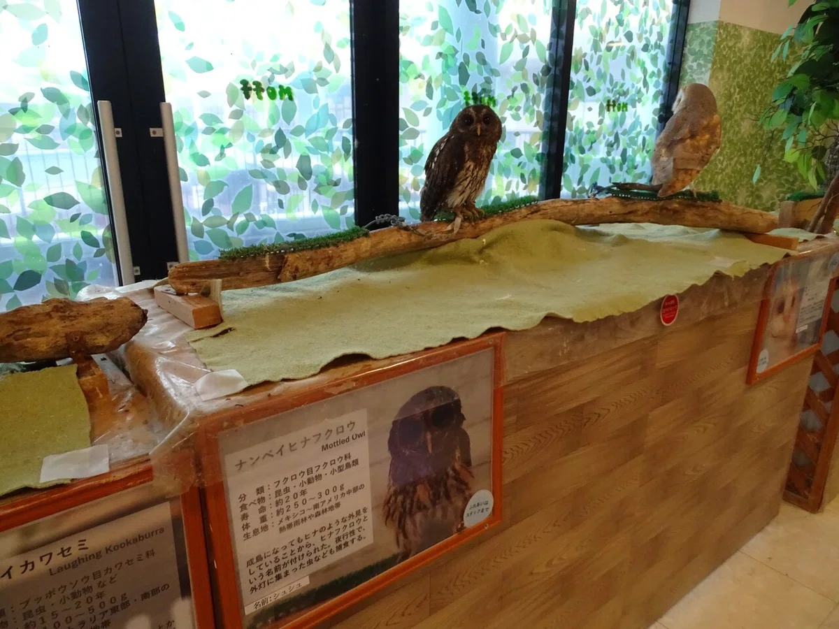 画像73
