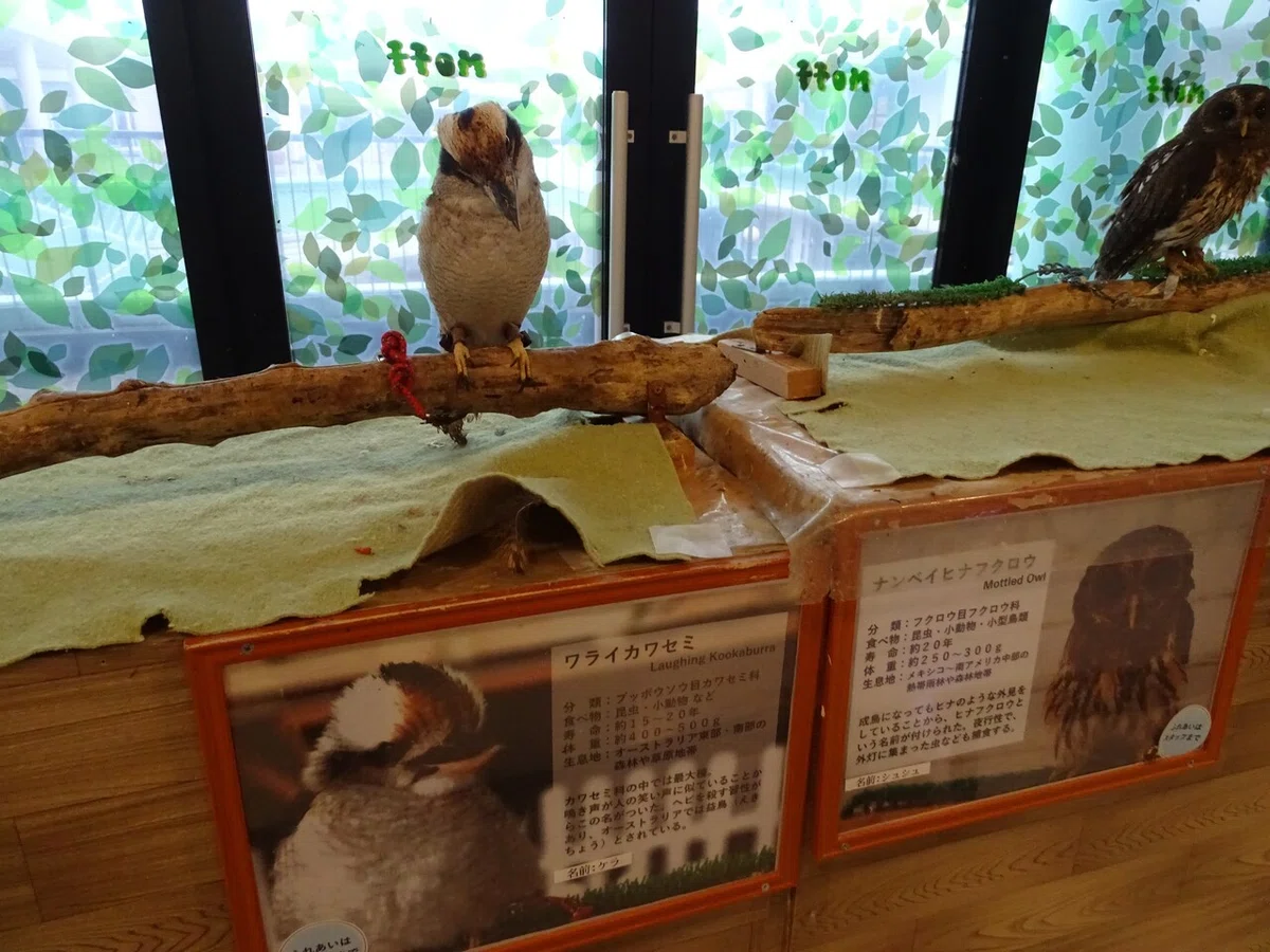 画像72