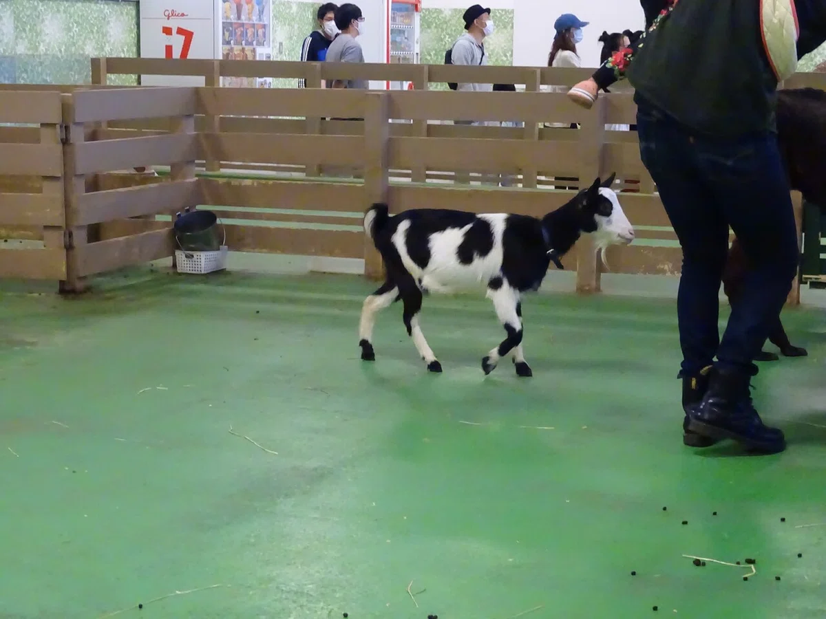 画像79