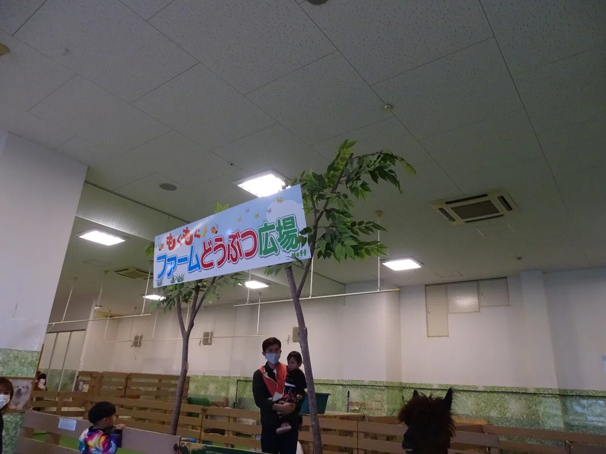 画像82