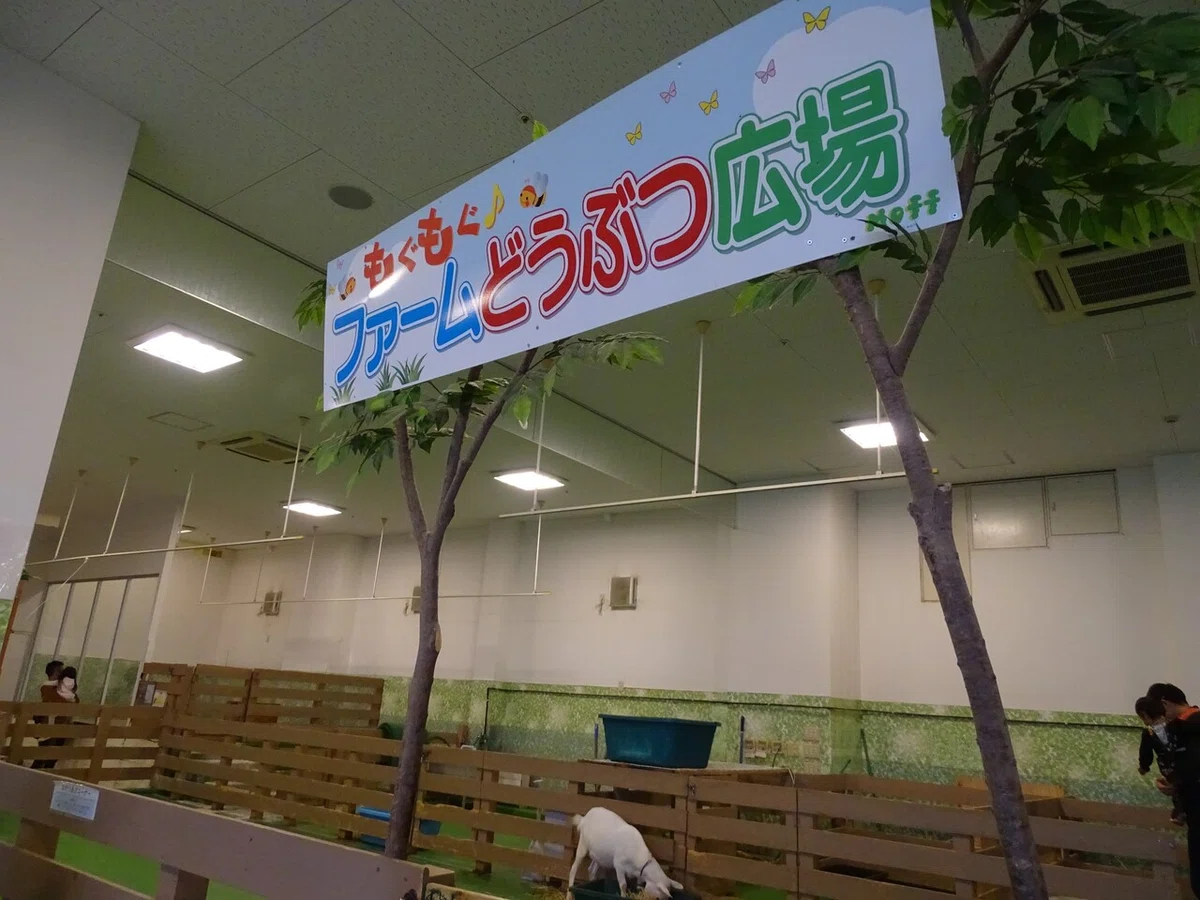 画像84