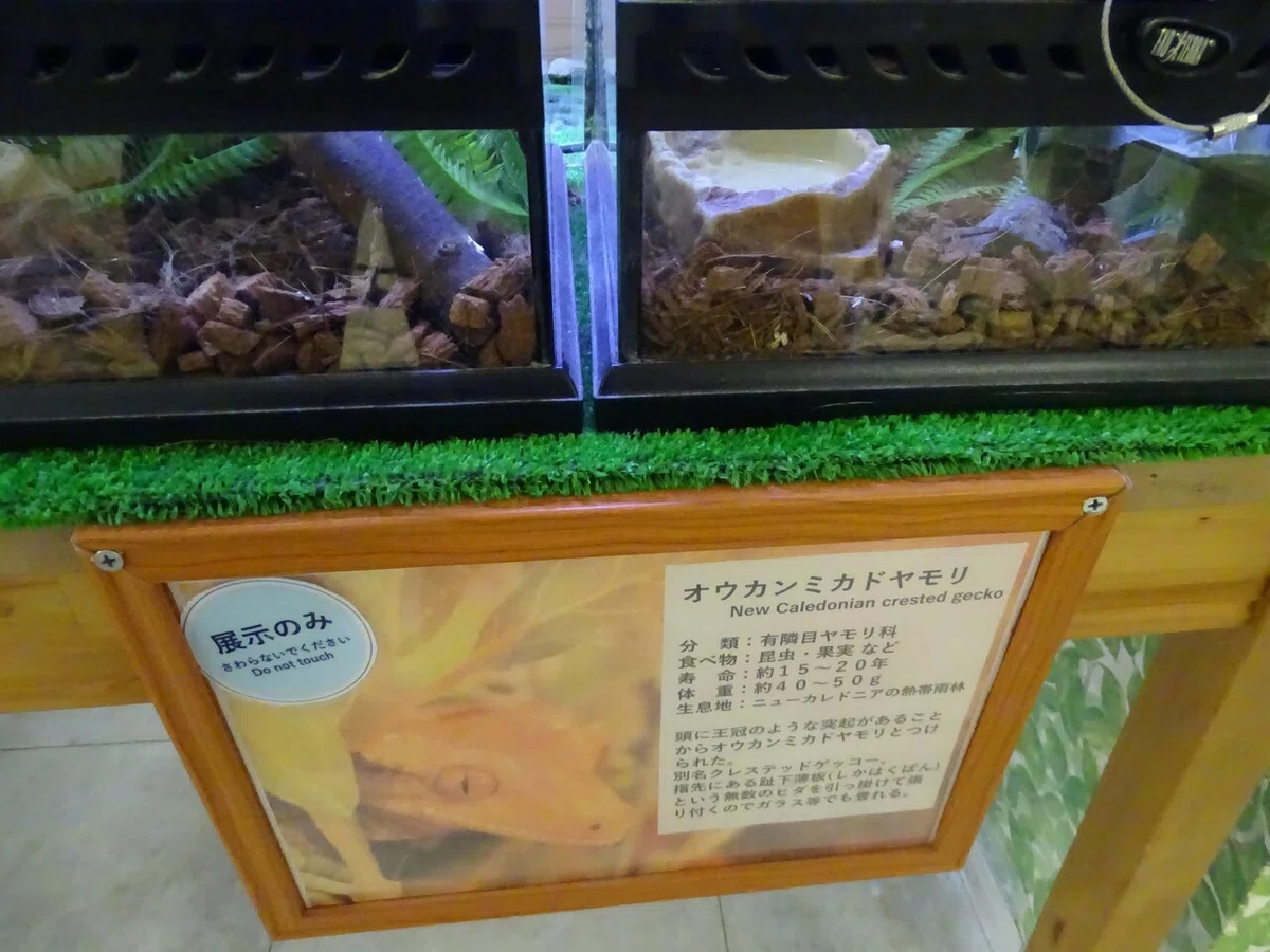 画像103