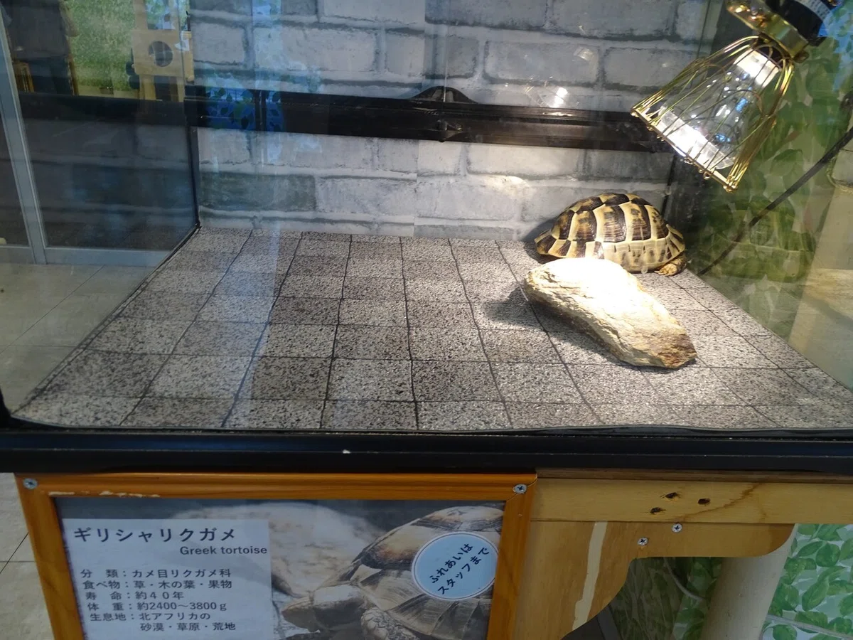 画像95