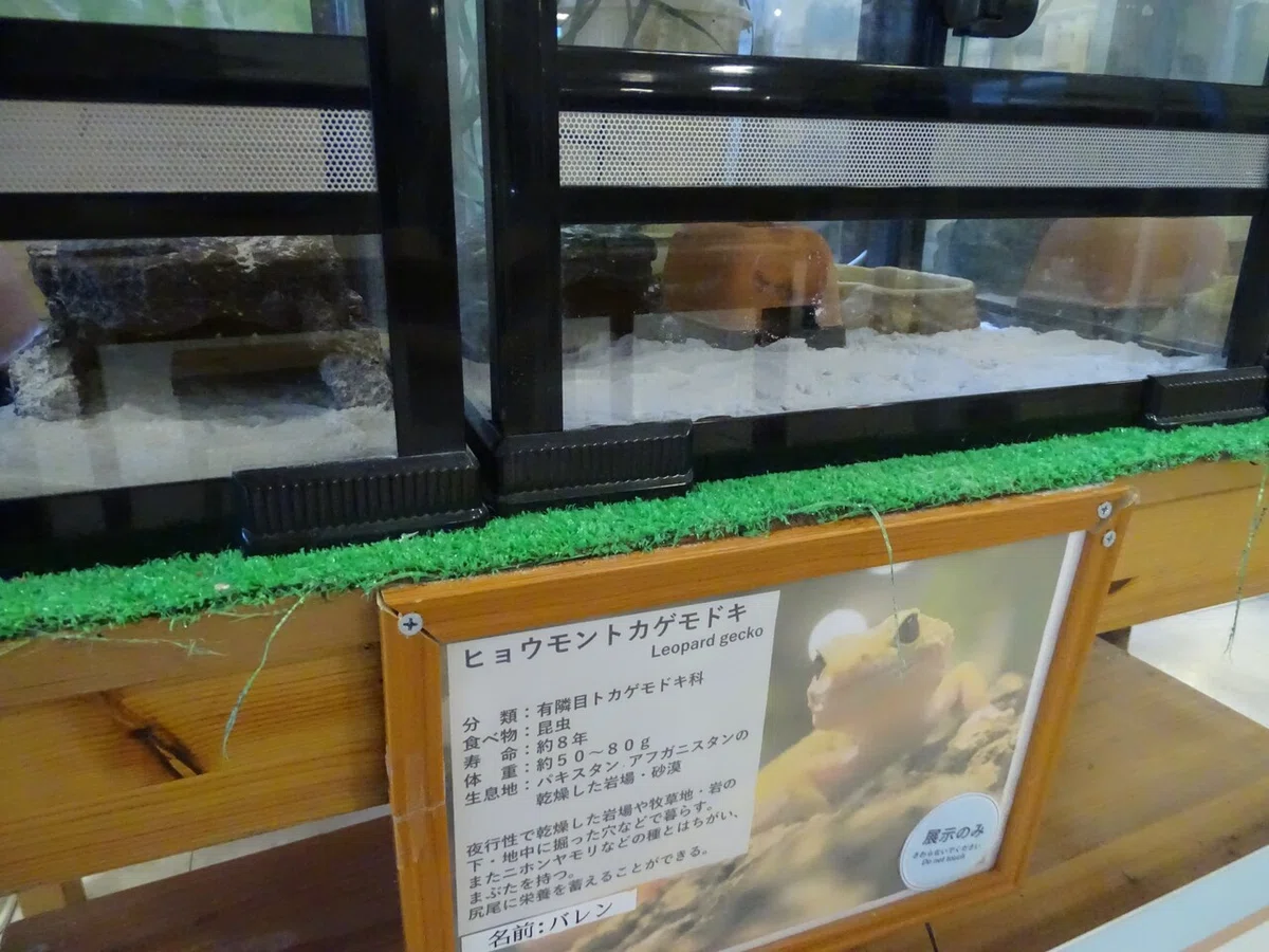 画像102